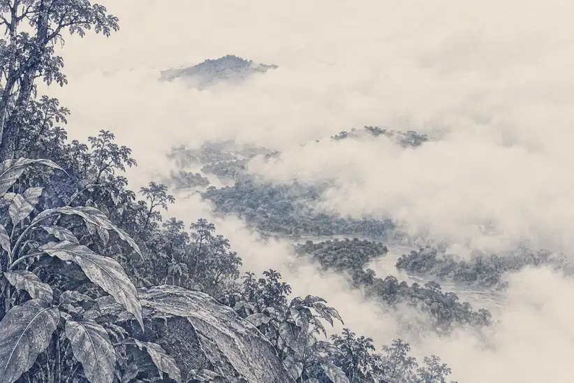 Illustration of cloud bound tropics.